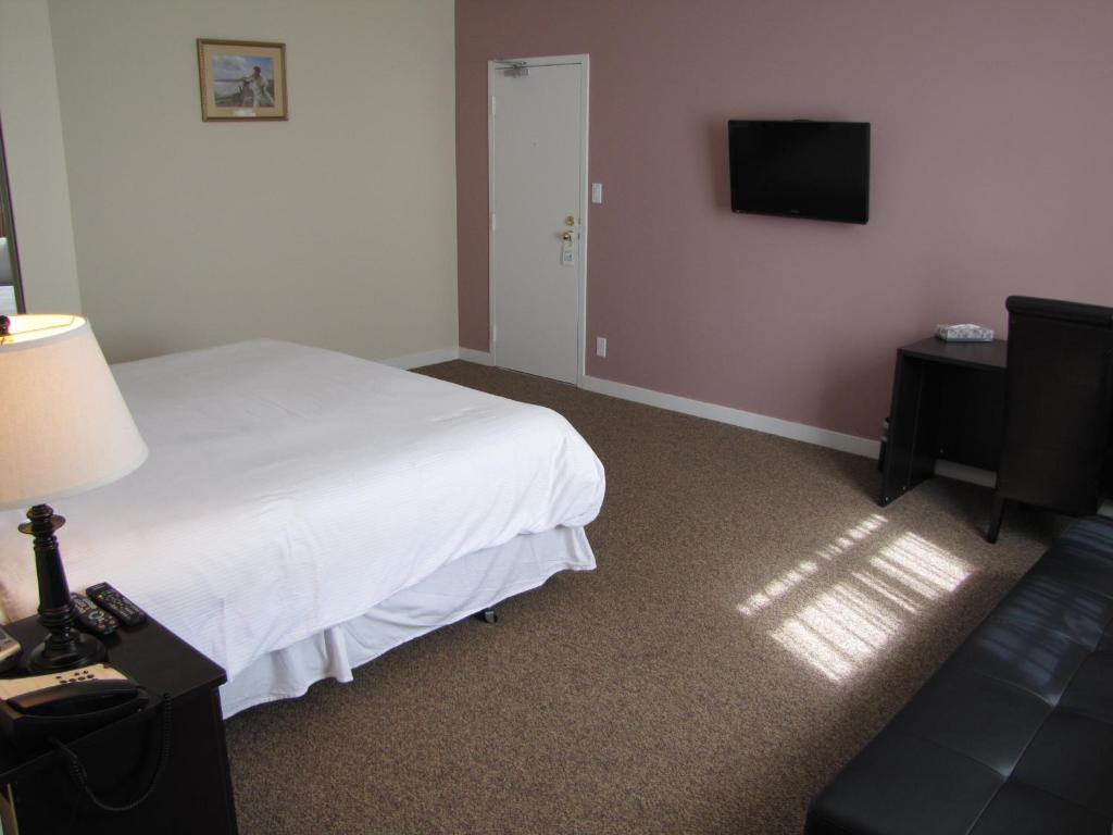 One-Bedroom Suite with Sofa Bed